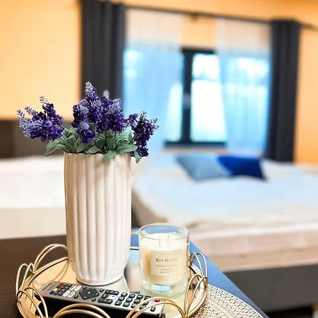 Ząbkowickie Centrum Sportu I Rekreacji Sp. Z O. O. * Zabkowice Slaskie