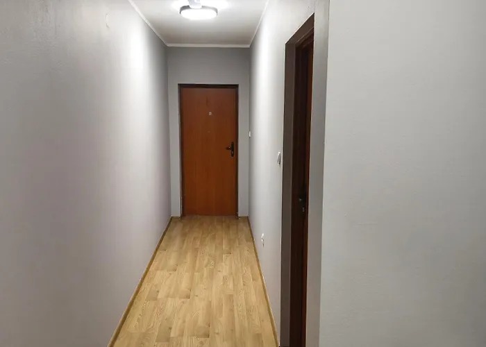 Zabkowickie Centrum Sportu I Rekreacji Sp. Z O. O. *